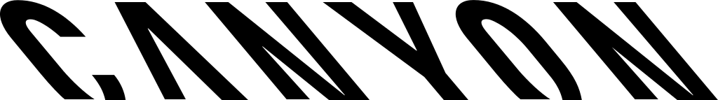 CANYON electric bike.png