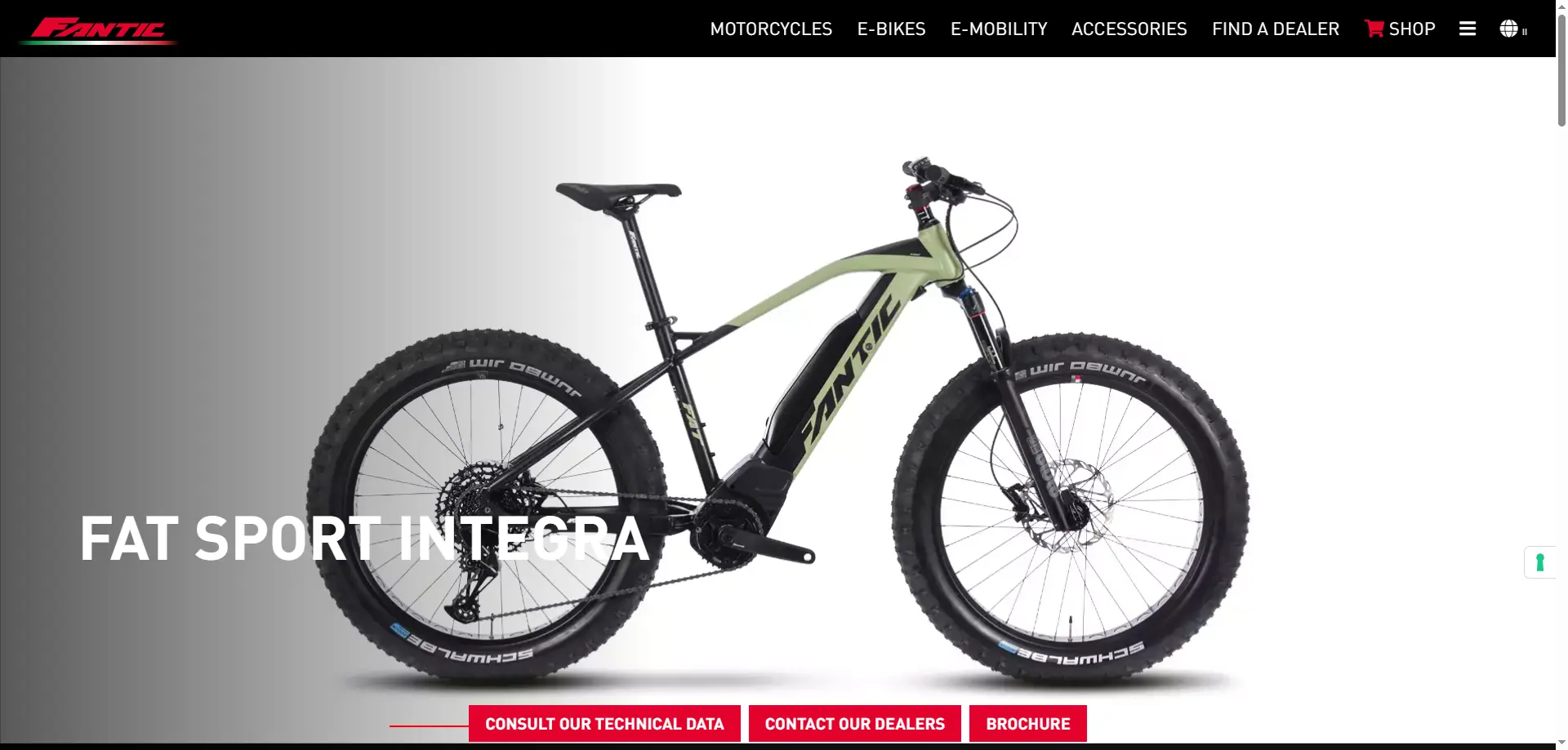 Fantic Fat Sport.webp