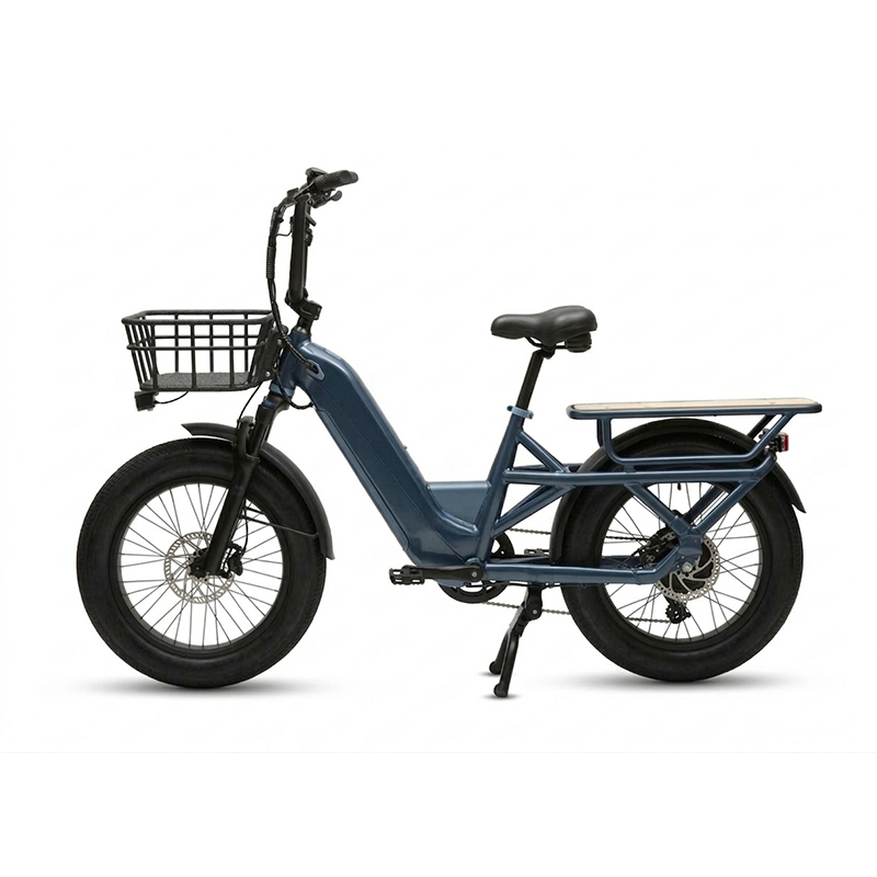 OEM Electric Cargo Bike 2 Wheels Urban Utility E-Bike
